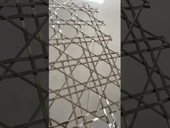 Архитектура Металлическая сетка